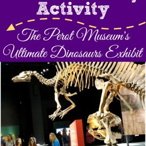 Newest Must Do Dallas Family Activity - the Perot Museum's Ultimate Dinosaur Exhibit! (partner) #dinosaur #perotmuseum #family #familyfun #familyactivity #dallas #texas #dfw