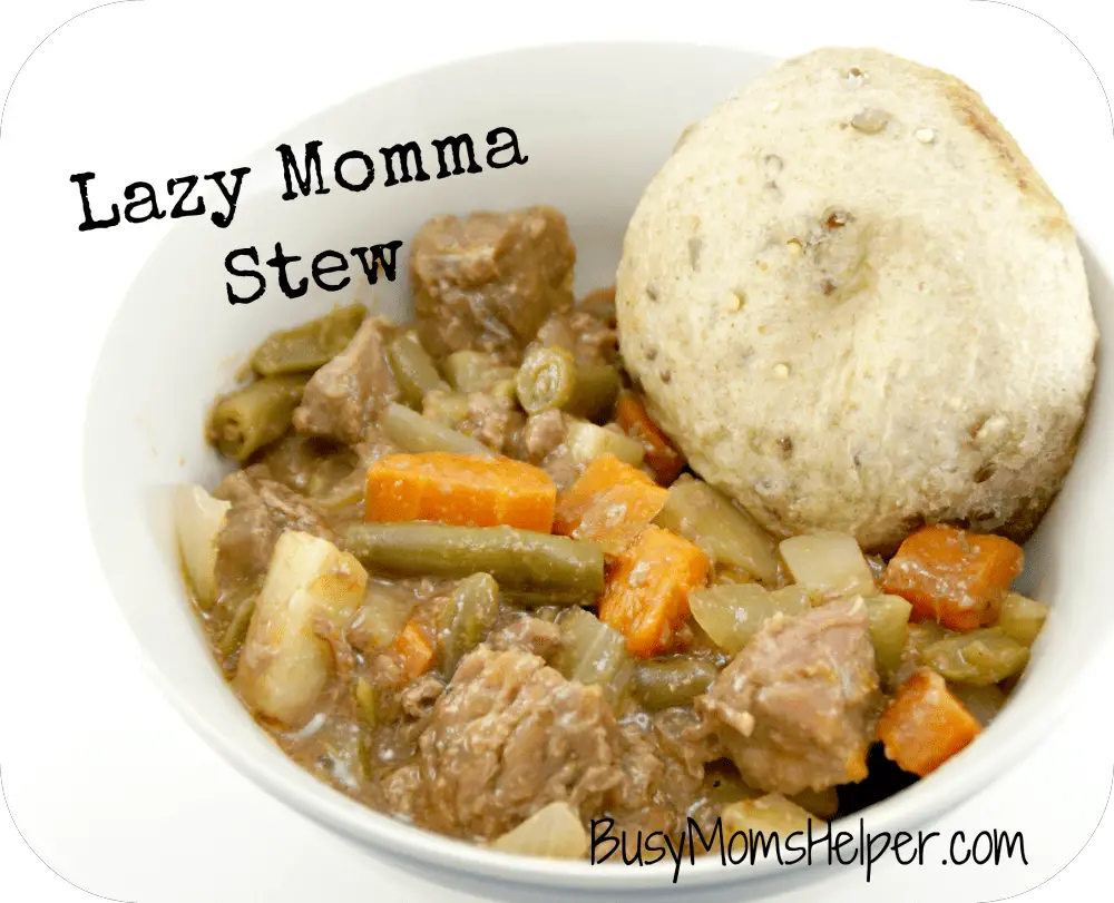 Lazy Momma Stew / Busy Mom's Helper