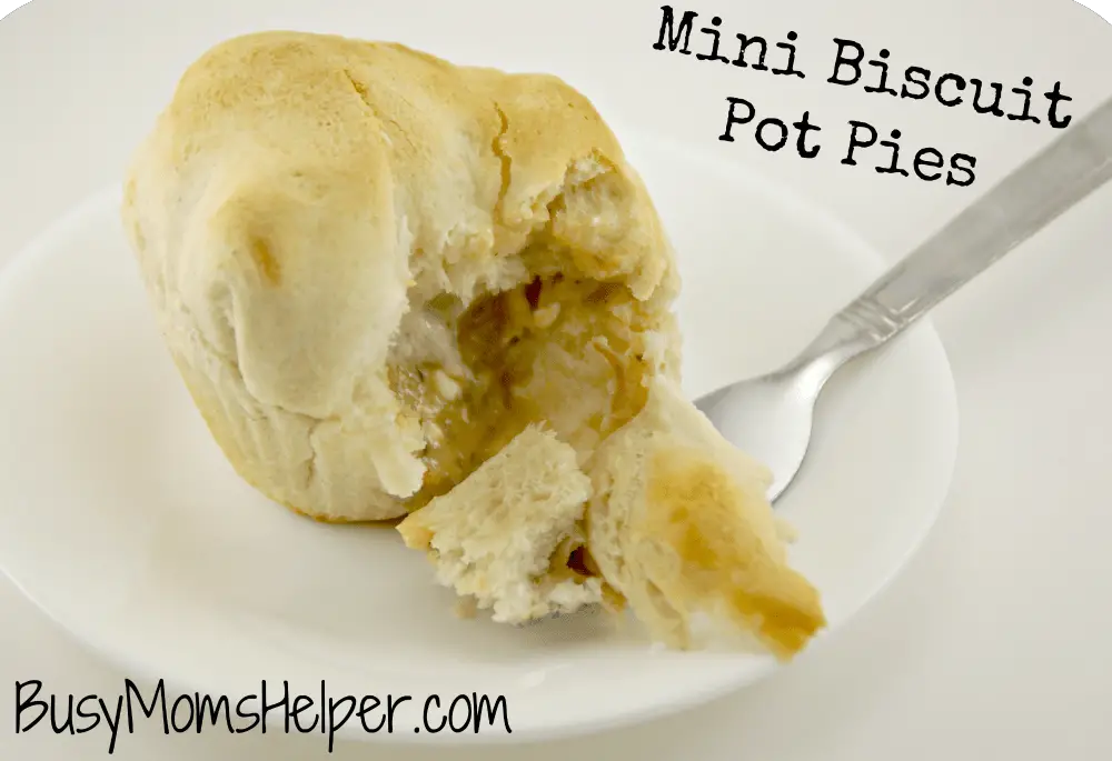 Mini Biscuit Pot Pies / Busy Mom's Helper