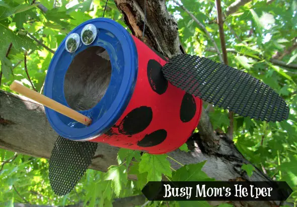 Ladybug Bird Feeder Summer Camp Craft