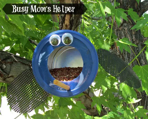 ladybug bird feeder 5
