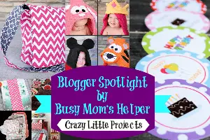 Blog Spotlight: Crazy Little Projects / by Busy Mom's Helper #blogspotlight #favoritebloggers
