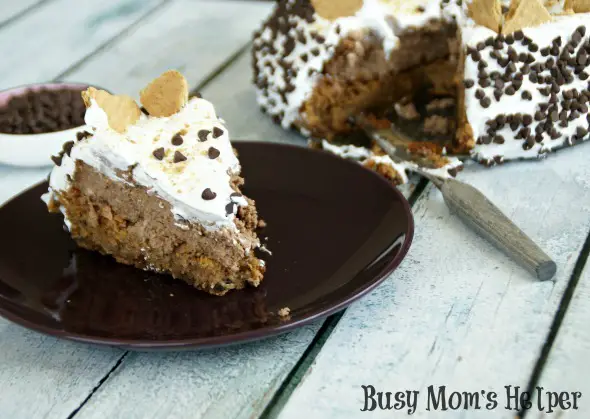 S'mores Cheesecake / by Busy Mom's Helper #Smores #Cheesecake #Dessert #Chocolate #Marshmallow