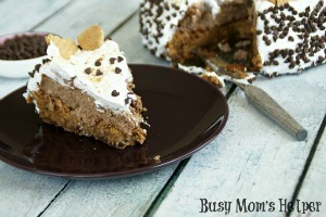 S'mores Cheesecake / by Busy Mom's Helper #Smores #Cheesecake #Dessert #Chocolate #Marshmallow