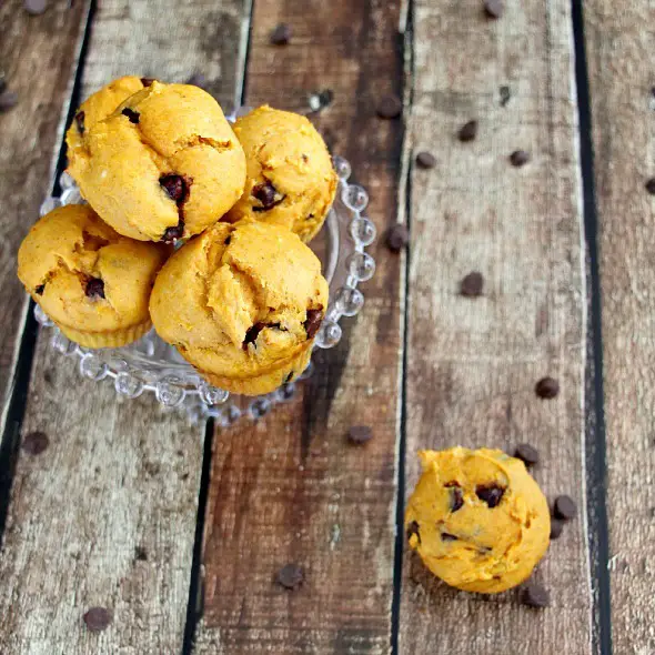Pumpkin Chocolate Chip Muffins / by Busy Mom's Helper #muffins #pumpkin