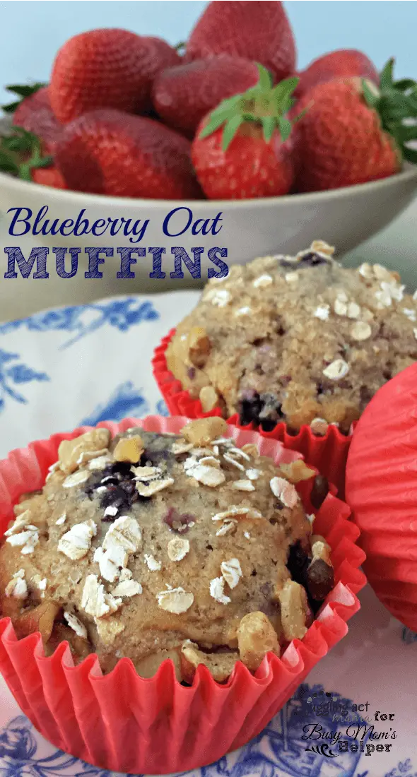 Blueberry Oat Muffins