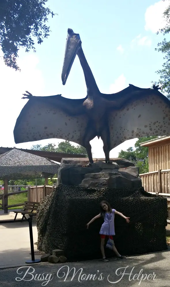Dallas Zoo / Texas / Travel / by Busy Mom's Helper #BBBestSummerEver #ad