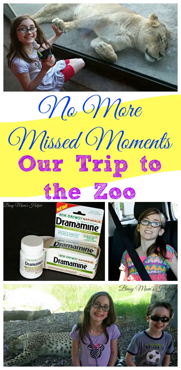No More Missed Moments: Our Trip to the Zoo / Busy Mom's Helper #Dramamine #CG #ad