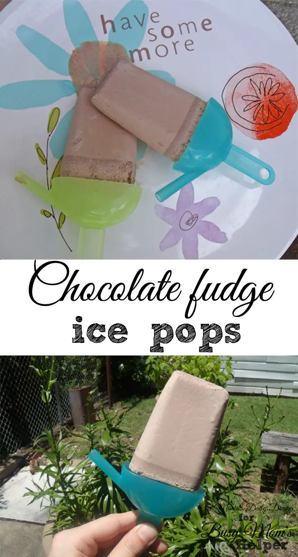 Chocolate fudge ice pops | One Mama's Daily Drama for Busy Mom's Helper --- These popsicles are sweet with just a bit of spice, thanks to a secret ingredient!