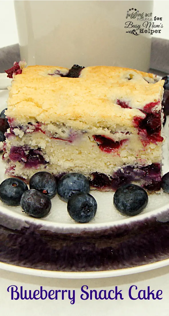Blueberry Snack Cake makes a delicious afterschool treat