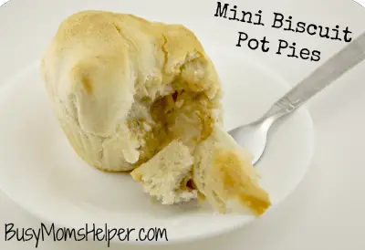 Mini Biscuit Pot Pies / by Busy Mom's Helper