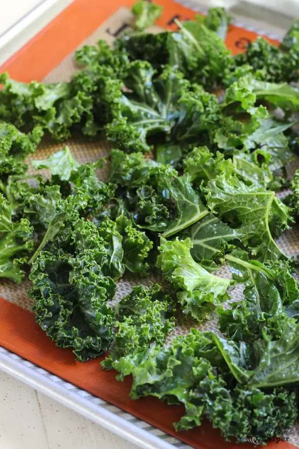 Truffle & Garlic Kale Chips l Steph in Thyme for Busy Mom's Helper