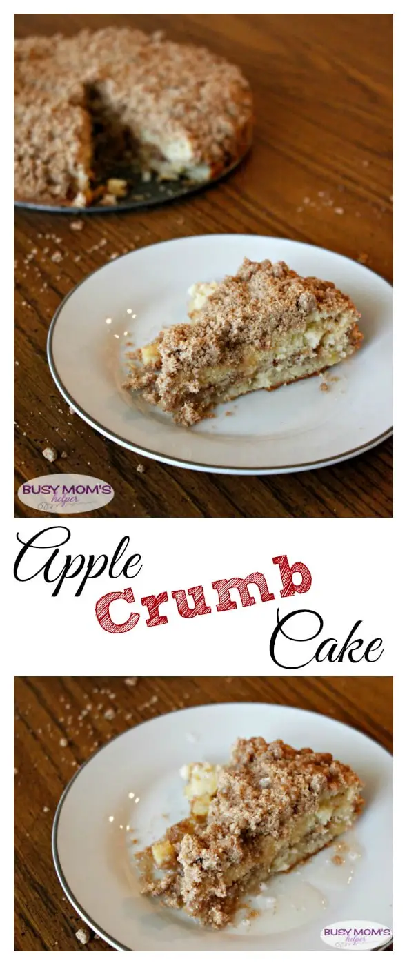 Apple Crumb Cake / delicious and simple dessert / by BusyMomsHelper.com