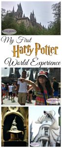 My First Harry Potter World Experience / travel blogger / by BusyMomsHelper.com