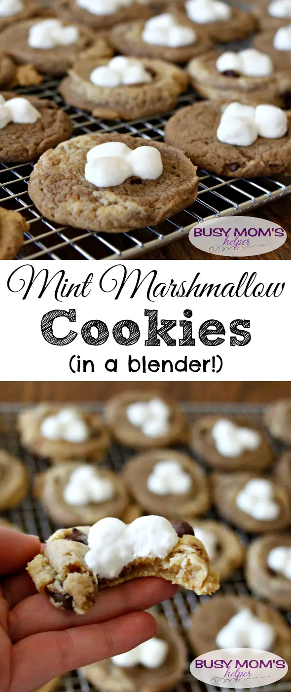 Mint Marshmallow Cookies (in a blender!) by BusyMomsHelper.com