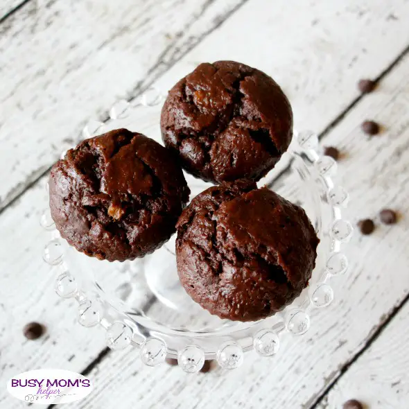 Chocolate Banana Muffins / by BusyMomsHelper.com / A delicious and easy breakfast recipe!