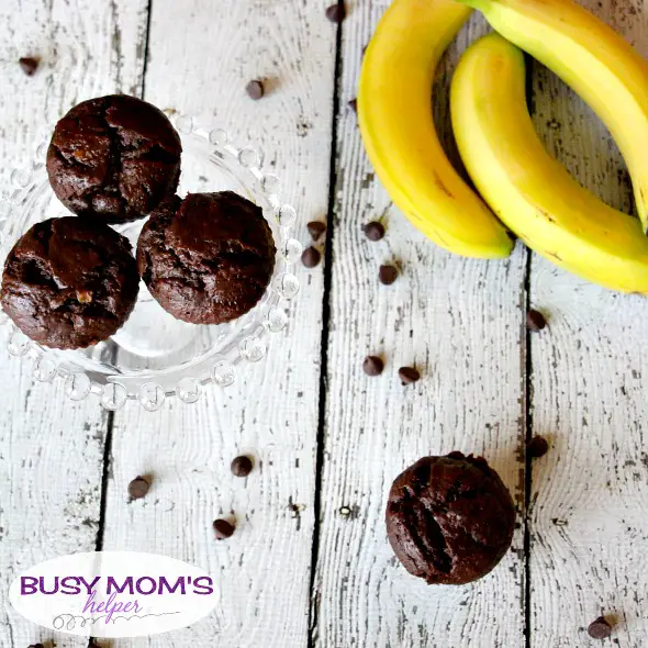 Chocolate Banana Muffins / by BusyMomsHelper.com / A delicious and easy breakfast recipe!