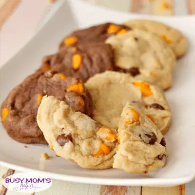 Pumpkin Pudding Cookies - in 3 different varieties! recipe by BusyMomsHelper.com / the perfect snack or dessert for pumpkin-lovers