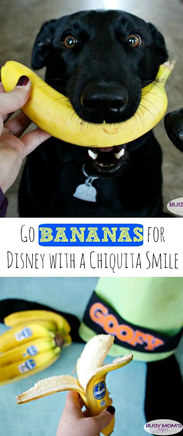Go Bananas for Disney with a Chiquita Smile and you could win a Walt Disney World Vacation / by BusyMomsHelper.com #ad #JustSmile Contest #AwakenSummer