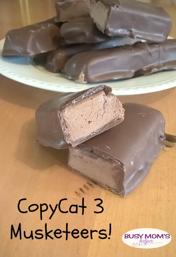 CopyCat 3 Musketeers! by Nikki Christiansen for Busy Mom's Helper