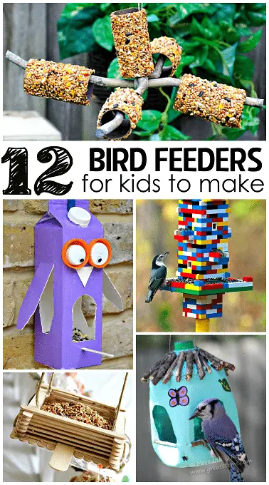 12 bird feeders for kids to make