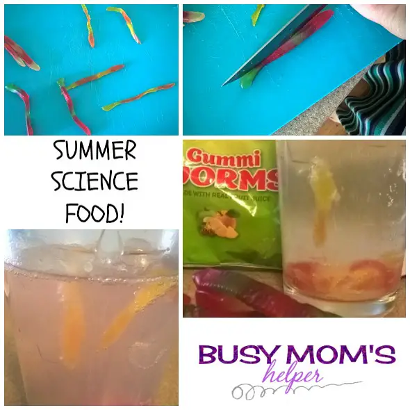 Summer Science Food! by Nikki Christiansen for Busy Mom's Helper