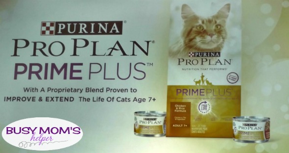 Everything's Better With Pets / the Purina Better With Pets Summit #BetterWithPets #ad