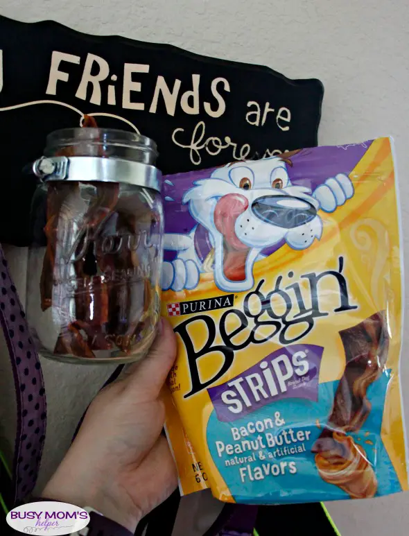 DIY Dog Leash & Treat Sign #ad #ToPetsWithLove