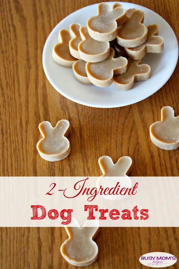 Including Pets in Your New Years Resolutions PLUS 2-Ingredient Dog Treat Recipe #SwifferFanatic #Ambassador