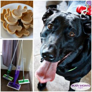 Including Pets in Your New Years Resolutions PLUS 2-Ingredient Dog Treat Recipe #SwifferFanatic #Ambassador