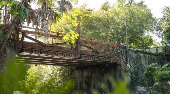 Pandora at Disney's Animal Kingdom: What to Expect from this new land at Walt Disney World