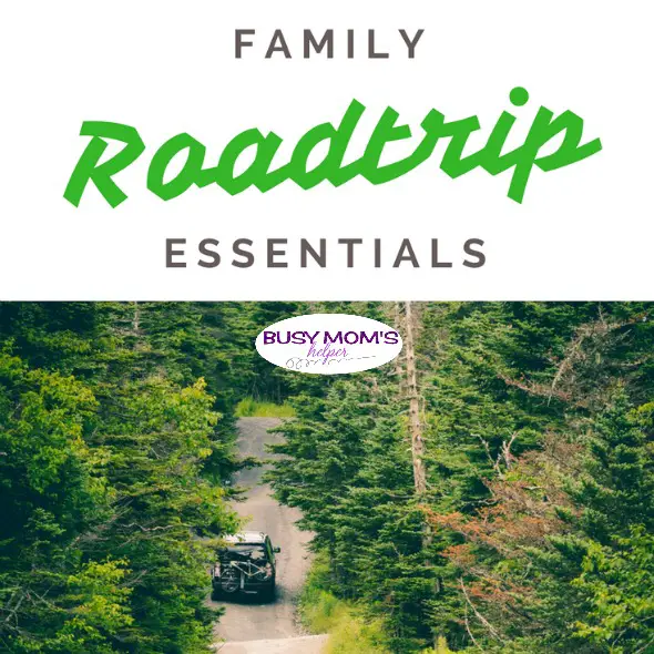 Family Roadtrip Essentials - Busy Mom's Helper