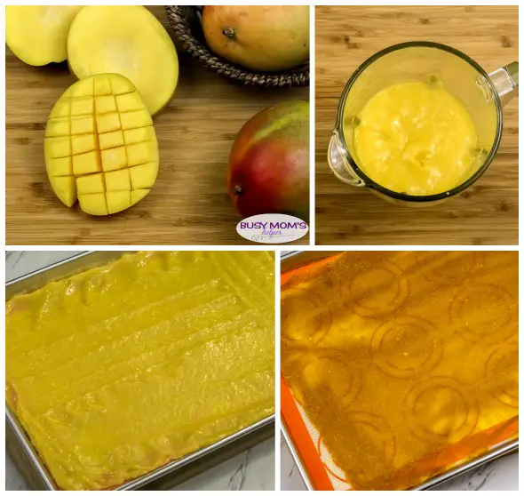 Homemade Mango Roll Ups / a great healthy afternoon snack idea, some homemade fruit roll ups