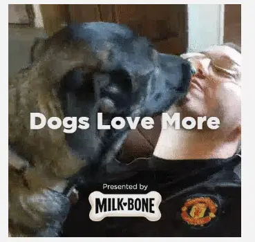 Dogs are More #AD #DogsAreMore #IC
