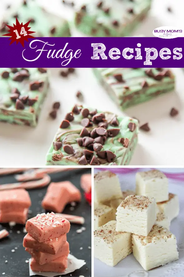 14 Fudge Recipes #dessert #recipe #snack #fudge
