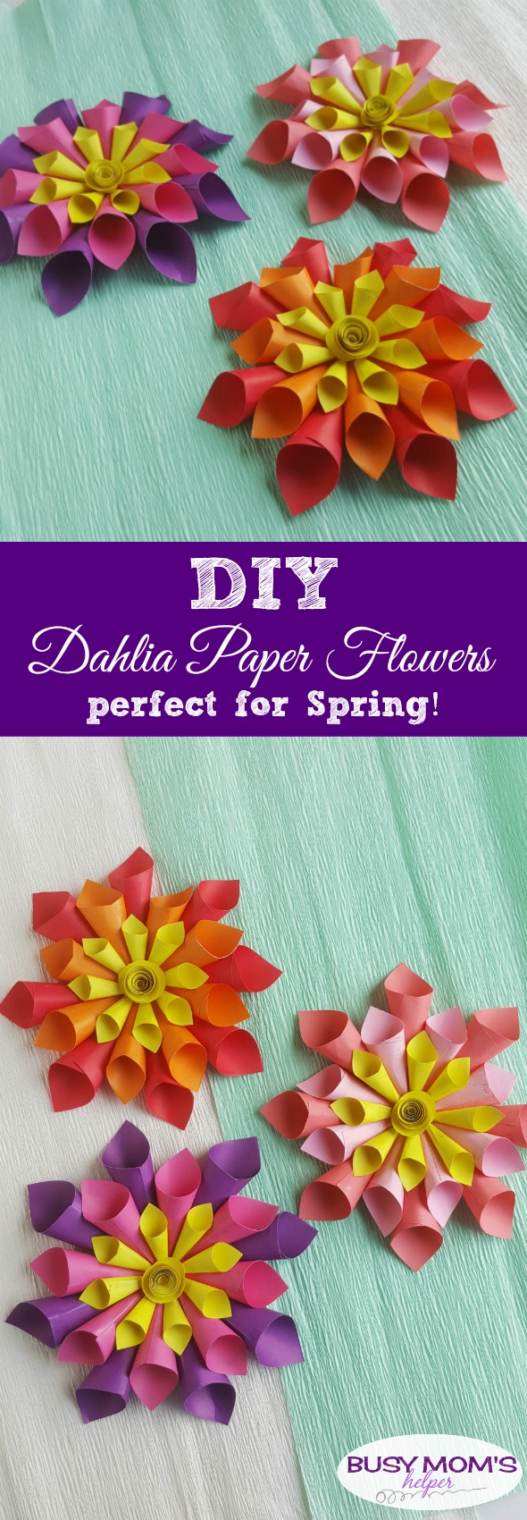 DIY Paper Flowers Perfect for Spring / make this colorful Dahlia flowers from paper for a fun spring craft #paperflower #flowers #craft #spring
