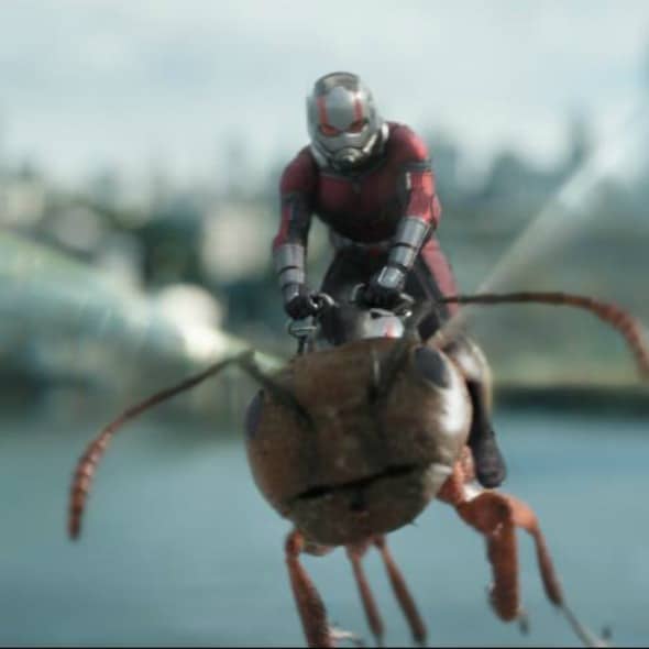 Ant-Man and Wasp: 5 Reasons it’s Even Better Than the First