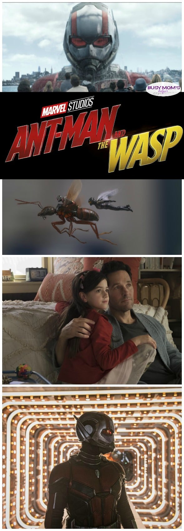 Ant-Man and Wasp: 5 Reasons it's Even Better Than the First! #antmanandwasp #marvel #superhero #movies #avengers
