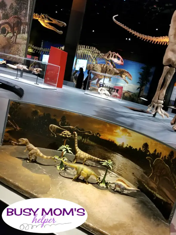 Newest Must Do Dallas Family Activity - the Perot Museum's Ultimate Dinosaur Exhibit! (partner) #dinosaur #perotmuseum #family #familyfun #familyactivity #dallas #texas #dfw