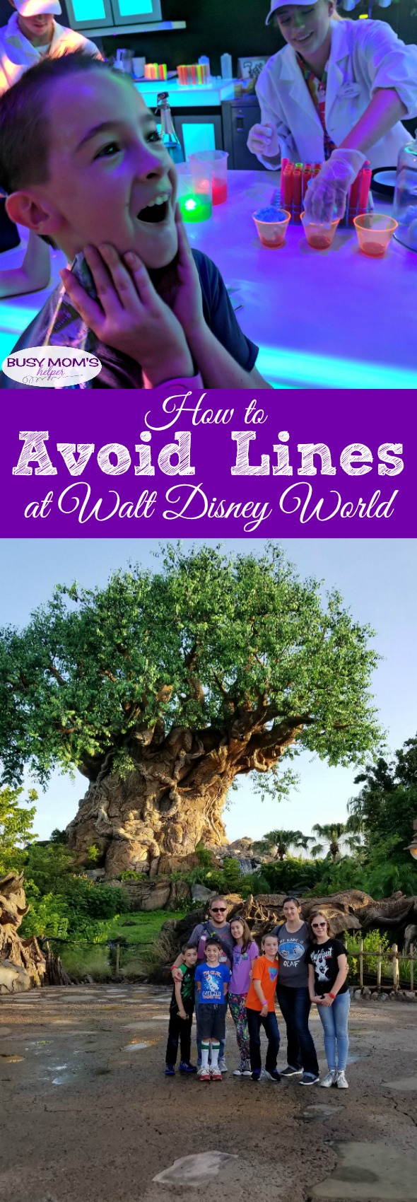 How to Avoid Lines at Walt Disney World #partner #waltdisneyworld #travel #michaelsvips #tourguide #disneyparks #disneytrip #disneytips #familytravel