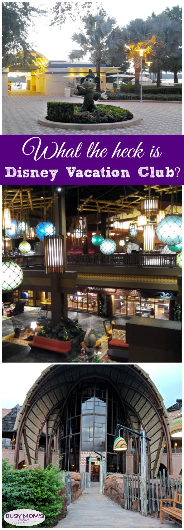 Everything you need to know about Disney Vacation Club aka: DVC #disney #waltdisneyworld #disneyland #hotels #disneyhotels #disneyvacationclub #dvc #disneyparks #travel #familytravel