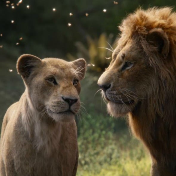 5 Reasons to see The Lion King Remake