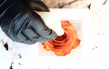How to Preserve Flowers in Resin: Make Awesome Paperweight Now