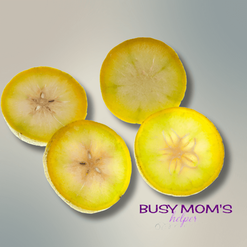 photo of the umbrella fruit on a gray background.