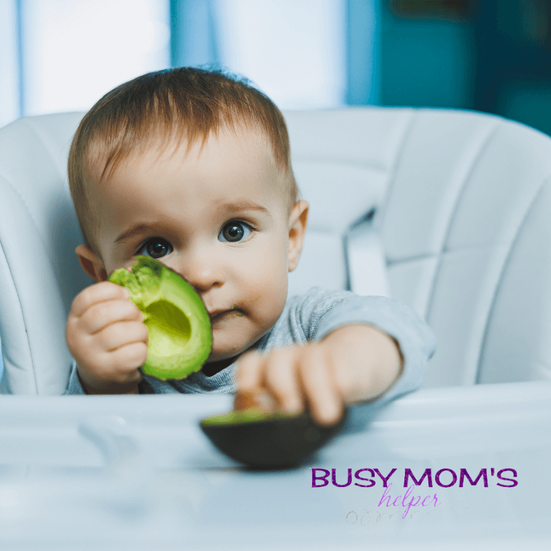 Healthy Avocado Recipes for Babies: A Quick Guide