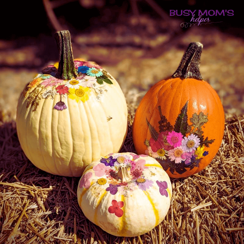 Halloween Activities for Kids: Fun and Easy Ideas!