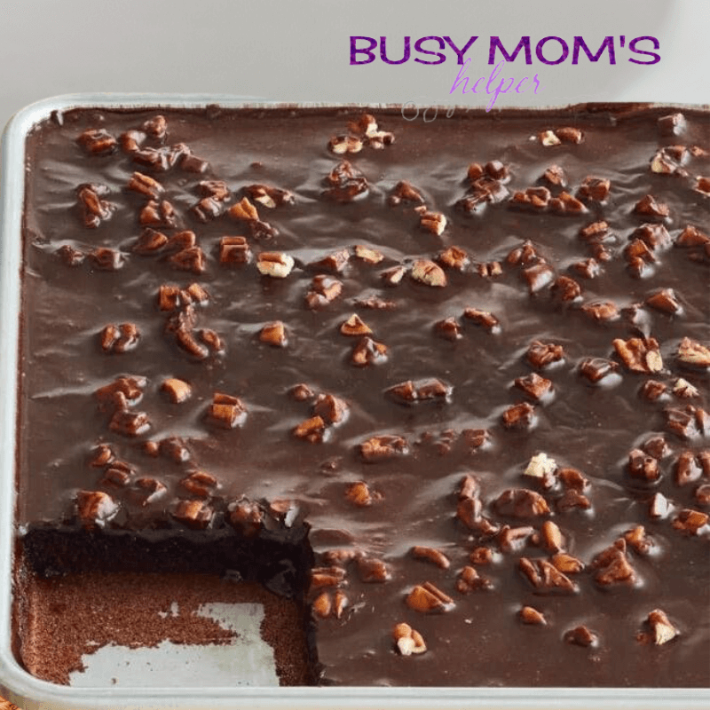 photo of a chocolate cake in an 18x18 in pan